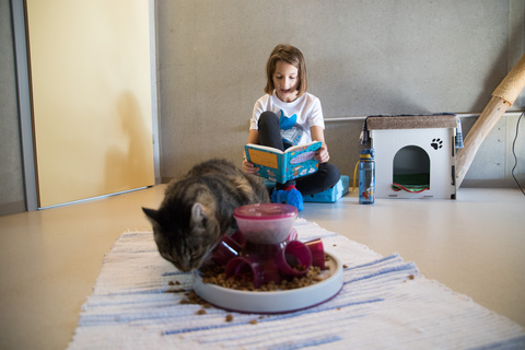 Die Schüler*innen lesen den Katzen in den Katzenzimmern vor und steigern so ihre Lesekompetenz.