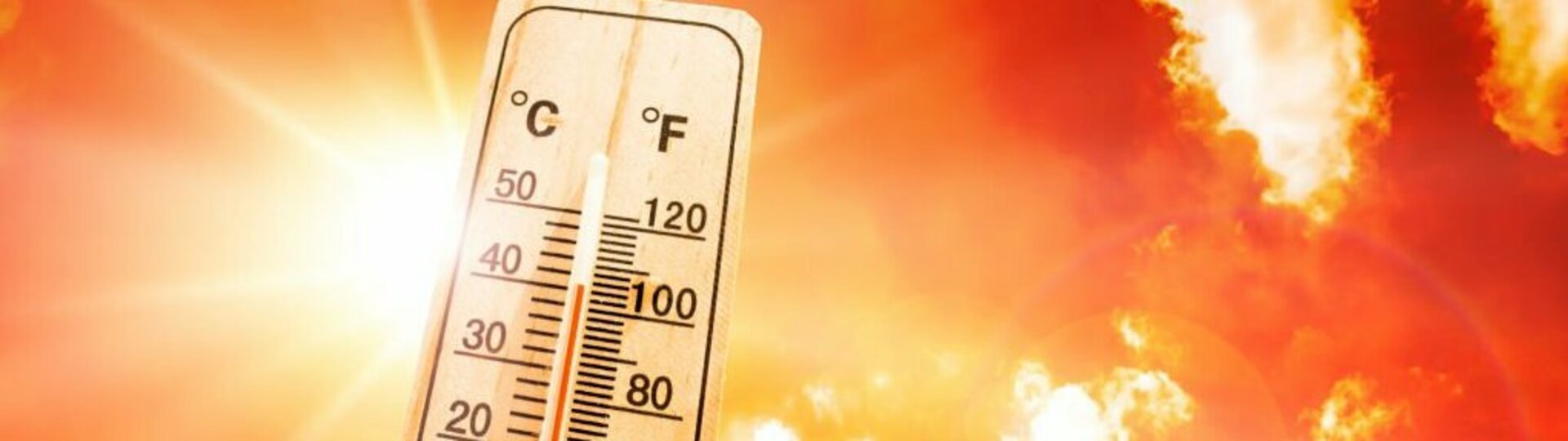 Stockfoto Hitzewille