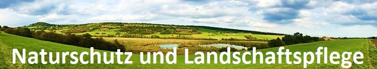 Hauptreferat Naturschutz und Landschaftsplege
