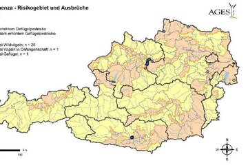 Aktuelle Risikogebiete und Ausbrüche der Aviären Influenza in Österreich.