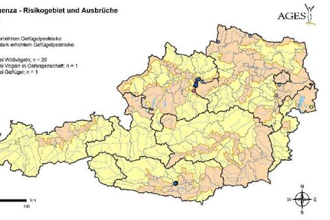 Aktuelle Risikogebiete und Ausbrüche der Aviären Influenza in Österreich.
