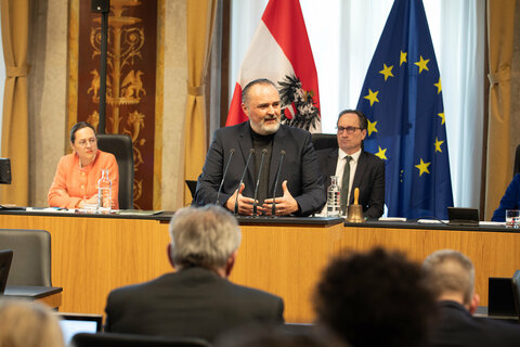 Landeshauptmann Hans Peter bei seiner Erklärung im Bundesrat