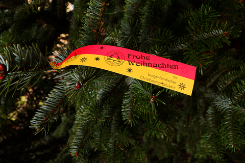 Regionaler Christbaum bringt Freude und Entspannung in die vier Wände