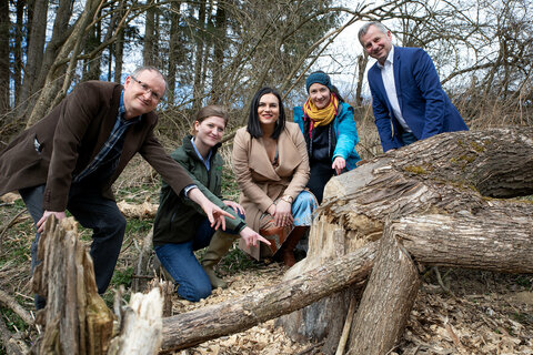 Im Biberrevier Draßmarkt von links: Klaus Michalek, Biotopmanager des Naturschutzbundes Burgenland, Clara Noé-Nordberg, Fachreferentin für Naturschutz der PANNATURA GmbH, Landeshauptmann-Stellvertreterin Astrid Eisenkopf, Franziska Bauer, Bibermanagement und Bürgermeister Anton Wiedenhofer (Draßmarkt)