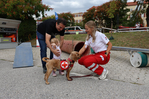 Besucherinnen und Besucher beim Tag der offenen Tür in Eisenstadt.