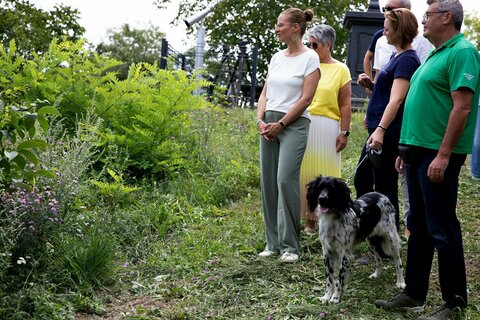 Landeshauptmann-Stellvertreterin Anja Haider-Wallner bei der Pressekonferenz zum Kampf gegen gebietsfremde Arten im Naturpark Rosalia-Kogelberg in Draßburg.