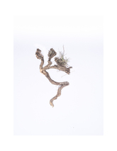 skeins of broken life #3