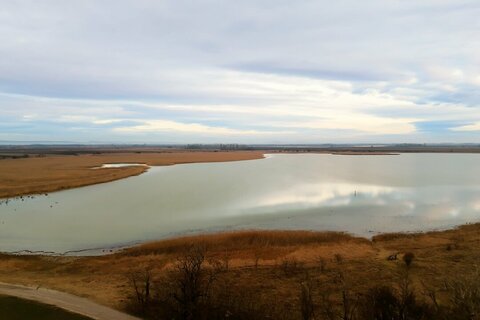 Erweiterung des Nationalparks  Neusiedler See - Seewinkel
