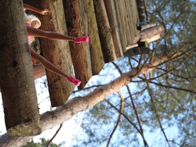 Provokation – Waidmannsheil