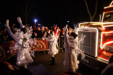 Fotoimpressionen vom Winterwunder Mörbisch.