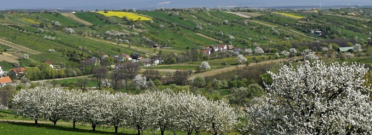 Naturpark Rosalia @ Ing. Franz Kovacs