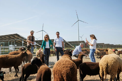 Landeshauptmann-Stellvertreterin Anja Haider-Wallner besuchte den en PÜSPÖK Super-Hybridpark in Nickelsdorf