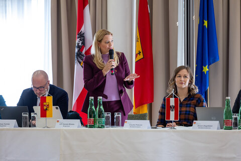 Landesrätin Mag.a (FH) Daniela Winkler (stehend) spricht bei der Konferenz.