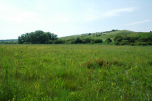 Siegendorfer Pußta und Heide