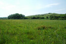 Siegendorfer Pußta und Heide