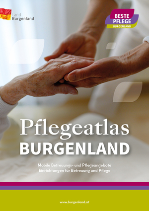 Flyer Pflege