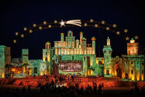 Winterwunder Mörbisch