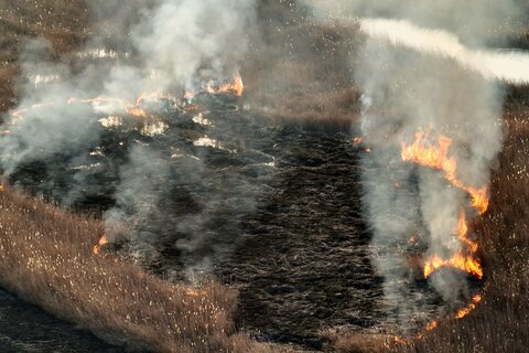 Brandschutzübung im Schilfgürtel bei Jois erfolgreich absolviert