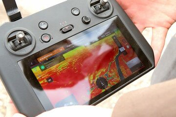 Künstliche Intelligenz zum Schutz des Neusiedler Sees