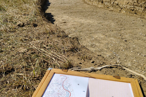 Der Grabungsschnitt folgt der zukünftigen Anlage des Spazierweges, der vom Besucherpavillon zur Kreisgrabenanlage führen wird. Basis für die Ausgrabungen sind geomagnetische Bodenuntersuchungen von GeoSphere Austria.