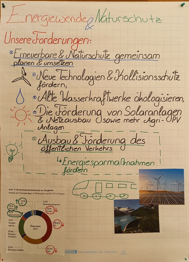 Ergebnisposter "Energiewende und Naturschutz"