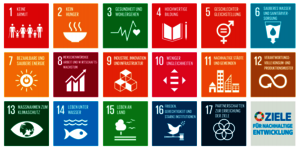 Logo SDG