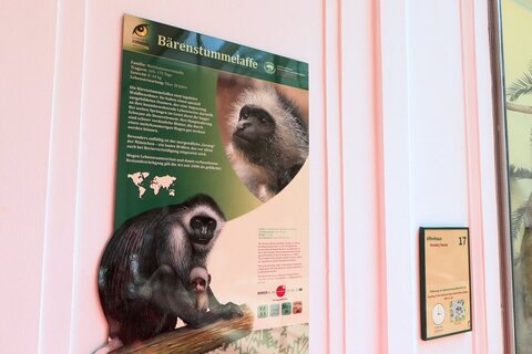 Blätterschmaus aus dem Burgenland - Bau und Betrieb Burgenland beliefert Tiergarten Schönbrunn