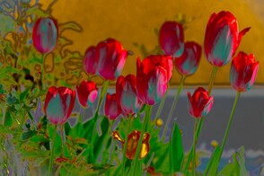 Serie „Malen mit der Kamera“