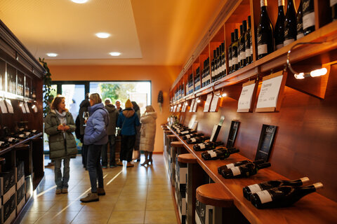 Nach zahlreichen Wein- und Kulinarikveranstaltungen laden nun offene Kellertüren und junge Weine zum Herbstfinale im ganzen Burgenland ein.