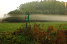 Kuhlacke mit Nebelschwaden