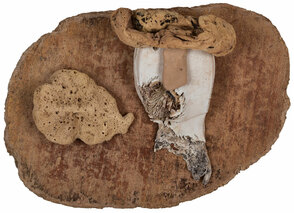 dampfplauderer dampfplauderer