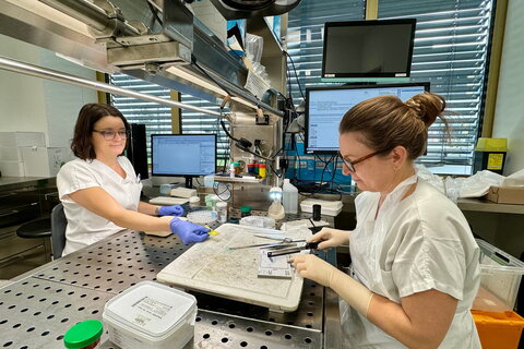 Gewebeproben werden hier genauestens untersucht.