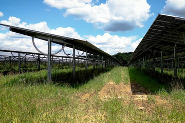 PV Park Güssing