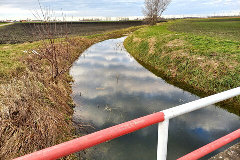 Wasserrückhalt in einem Entwässerungsgraben.