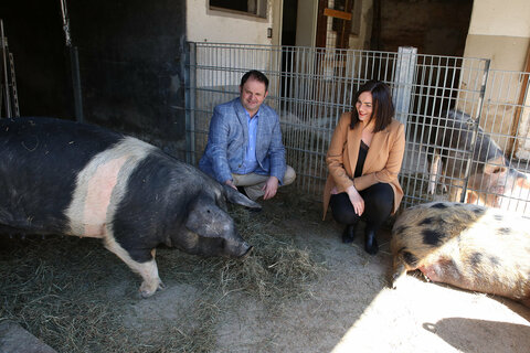 Landeshauptmann-Stellvertreterin Astrid Eisenkopf und Biobauer Andreas Schlögl aus Oberrabnitz setzen sich für ein Verbot von Spaltböden in der Tierhaltung und eine verpflichtende Herkunftskennzeichnung bei Lebensmittel ein