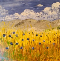 Kornblumen