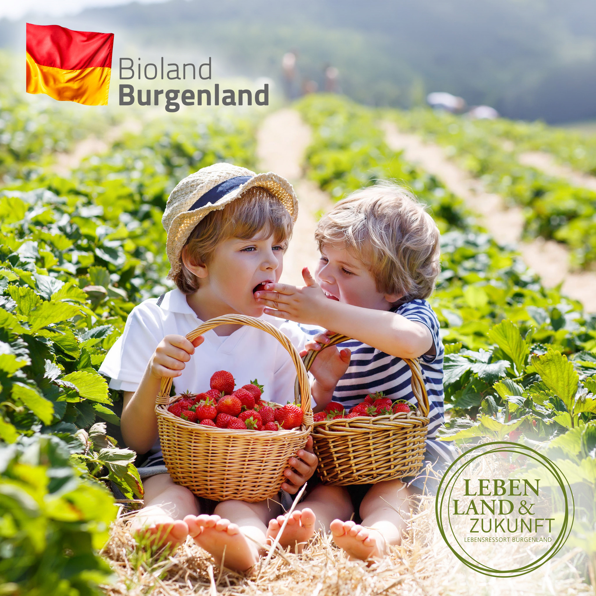 Symbolfoto Bioland Burgenland