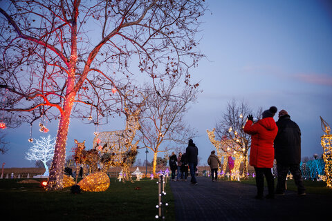 Winterwunder Mörbisch