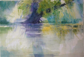 Trauerweide Laxenburg