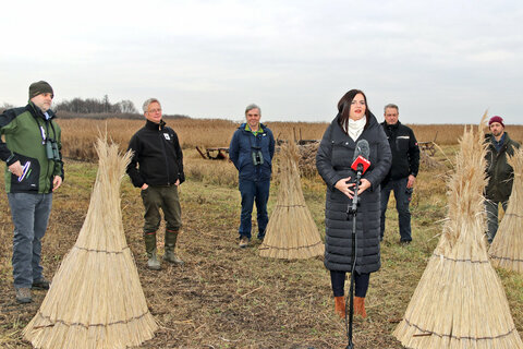 Präsentierten Pläne für nachhaltiges Schilfgürtel Management:  V.l.: Matthias Grün, Vorstandsmitglied der Esterhazy Betriebe GmbH, Bernhard Kohler, Naturschutzexperte beim WWF Österreich, Michael Dvorak, Naturschutzexperte von Birdlife Österreich, Umwelt- und Naturschutzreferentin Landeshauptmannstellvertreterin Astrid Eisenkopf, Markus Brunner, Schilfschneider, Firma reedmaX, Jakobus Van Hoorne, Schilfschneider