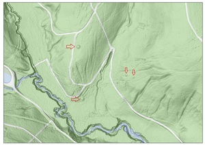 Die vier Grabhügel am Hartelsbach sind im LIDAR-Scan deutlich zu erkennen, Quelle: Geodaten Burgenland, Bearbeitung: A. Tögel Bearbeitung: A. Tögel