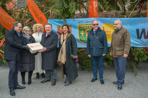Der Weihnachtsbaum aus dem Burgenland ist heute am Rathausplatz eingetroffen. V.l. Bundesrat Günter Kovacs, Bundesrätin Sandra Gerdenitsch, „Weihnachtsengerl“, Bgm. Michael Ludwig, Stadträtin Veronica Kaup-Hasler, LAbg. GR Rudolf Kaske, Matthias Grün, GF PANNATURA GmbH