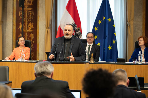 Landeshauptmann Hans Peter bei seiner Erklärung im Bundesrat