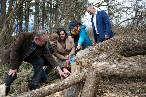 Im Biberrevier Draßmarkt von links: Klaus Michalek, Biotopmanager des Naturschutzbundes Burgenland, Clara Noé-Nordberg, Fachreferentin für Naturschutz der PANNATURA GmbH, Landeshauptmann-Stellvertreterin Astrid Eisenkopf, Franziska Bauer, Bibermanagement und Bürgermeister Anton Wiedenhofer (Draßmarkt)