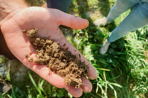 Landeshauptmann-Stellvertreterin Anja Haider-Wallner besuchte den Biohof Koch in Markt Allhau.