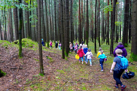 Spaziergang zu den Hügelgräbern im Hieseggwald
