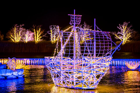 Winterwunder Mörbisch