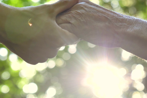 Hand einer älteren Person und Hand einer Jüngeren die sich berühren