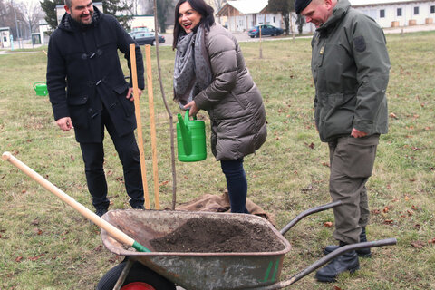 Landesrat Mag. Heinrich Dorner, Landesrätin Mag.a Astrid Eisenkopf und Kommandant Oberstleutnant Markus Ziegler legten bei der Pflanzung eines der Spitzahornbäume des Aufforstungsprojekts selbst Hand an.