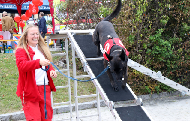 Tag der offenen Tür